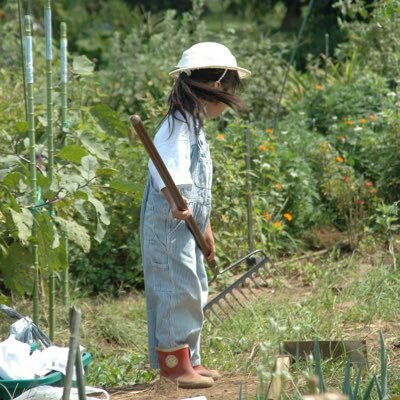 東京勤務のサラリーマン👩🏻‍🌾買う以外に食べ物を得る術🍠自家消費🥕フードマイレージゼロ🧅オーガニック🥔地産地消🍅自産自消🫑StayFarm🥒在宅勤務🎃半農半X🌱トカイナカ🍆田園都市生活🚇ピアノ弾き🎹Beatles🎵CountBasie🎷ユーミン🍸リツイート&フォローご自由に💗