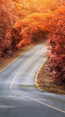 bkQ7hkxs4JjDCjs's profile picture. ี้้