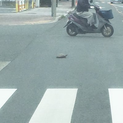 Rxh8wGYQbx7ZTCI's profile picture. キチンと養育費を渡し終えそれなりに自由にやってます (⌒-⌒; v サウナ超好きサウナ⇆水風呂で相撲観戦するのが至福（笑） ダイエット頑張り中💪−12kg達成❗#シネマンガテレビ の動画を観るのとおっさんながら簡単クッキングがマイブーム(´∀｀) #無差別体験主義 です