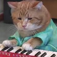 | TWL in there | bappadipoopy | Frustrated musician | JollyR