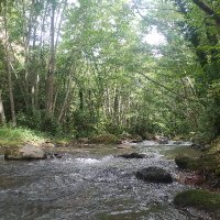 PaRaDiSi (@paradissii) 's Twitter Profile Photo