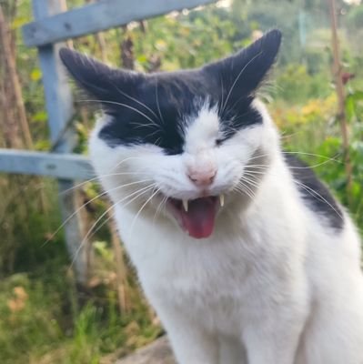 waryz_pl's profile picture. 