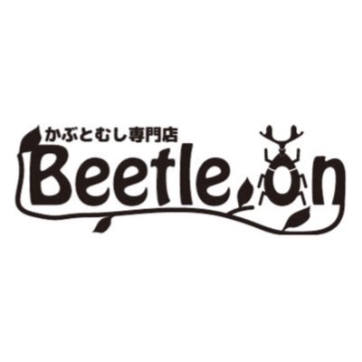 Beetle on(ビートロン)東京店