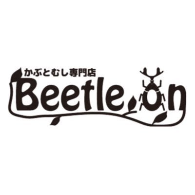 東急池上線御嶽山駅から徒歩3分！東京都大田区にあるカブトムシ、クワガタムシ専門店です！ 営業時間☆平日16時〜22時、土日祝12時〜20時、定休日は火曜日です☆クレジットカード、PayPay、交通系IC等、委託品以外はご利用可能です🙆‍♀️お問い合わせはお電話の方がスムーズです🙇