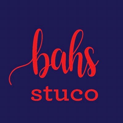 BA Student Council Profile