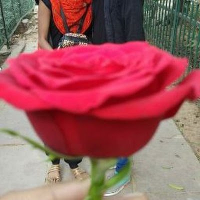 NaveenN73494651's profile picture. special educator