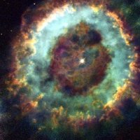 PINYON DaRooster D. (@pinyond) 's Twitter Profile