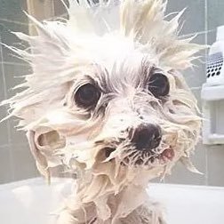 brbrbrbrbrking's profile picture. 