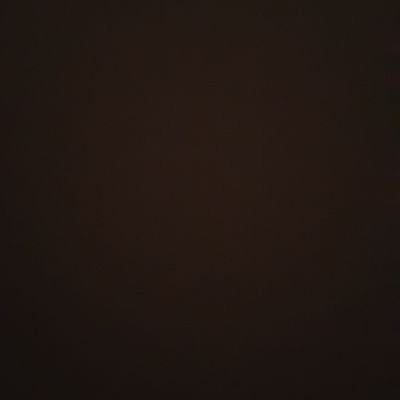 notusedg's profile picture.