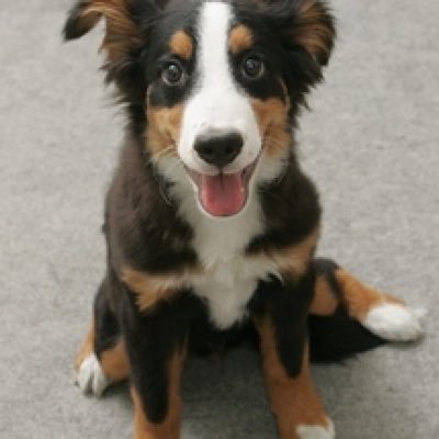 wrMtjefUDjgujVr's profile picture. #42tokyo 2022 1月入学| パリのビジネススクール留学(1年弱) | 欧州放浪(半年) | 明治(6年間在籍、笑) | トビリシ