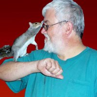 Squirrel Beebz 🐿 and Dan(@SquirrelBeebz) 's Twitter Profile Photo