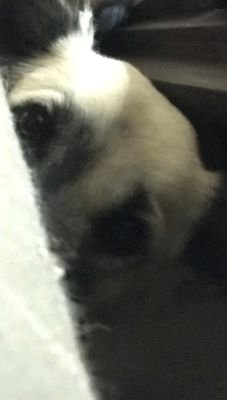 DamarisTrikurn4's profile picture. lucu