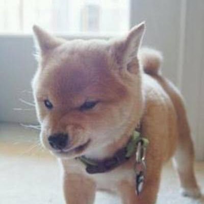 こめざわさんのプロフィール画像