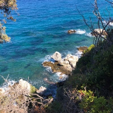 MM_ValueInvest's profile picture. 