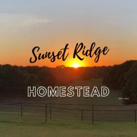 Sunset Ridge Homestead(@SunsetRidgeOK) 's Twitter Profile Photo