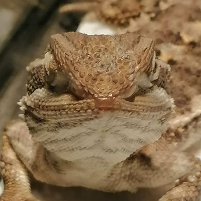 Flix68735550's profile picture. 