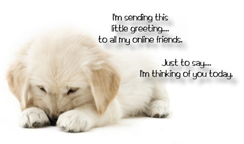 caitlin162's profile picture. 