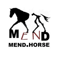 MEND.HORSE LLC(@MENDHORSE) 's Twitter Profile Photo
