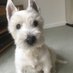 ⚫️Cilla 'n' Reuben (RIP)🇫🇷🇪🇺#rejoinEU 🌈 🇺🇦 (@metrognome391) Twitter profile photo ⚫️Cilla 'n' Reuben (RIP)🇫🇷🇪🇺#rejoinEU 🌈 🇺🇦 (@metrognome391) Twitter profile photo