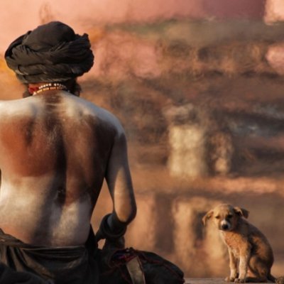 cposadagz's profile picture. Mente estoica, alma taoísta y corazón bárbaro.