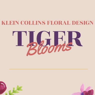 KCTigerBlooms Profile Picture