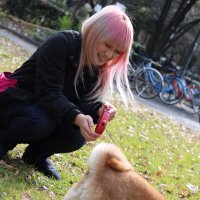 ぴぽちゃんとけだまたち (@pipo_pepe_mitsu) 's Twitter Profile