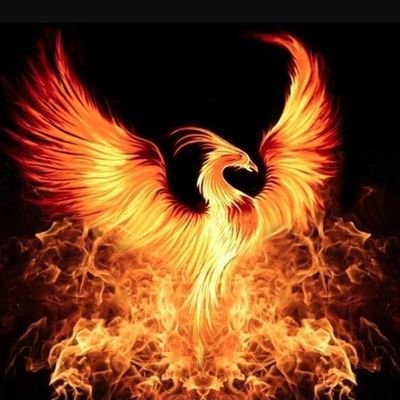 pedja381's profile picture. Žitelj Republike Srbistan