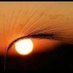 Devrim sipan (@devrimsipan1) Twitter profile photo Devrim sipan (@devrimsipan1) Twitter profile photo