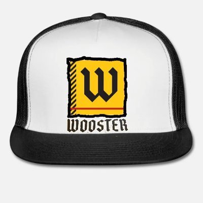 THE COLLEGE OF WOOSTER Off. Asst. (Wide Receiver)