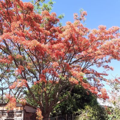 MarciaC21899573's profile picture. 