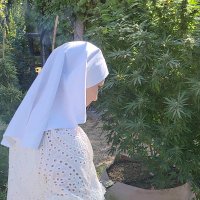 Sisters of the Valley (@sistersofcbd) 's Twitter Profile
