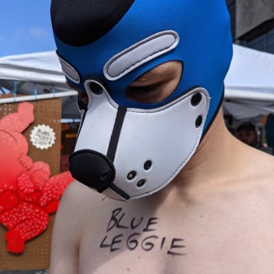 25y.o puppo • acceptor of boops • AD @LeggieAd