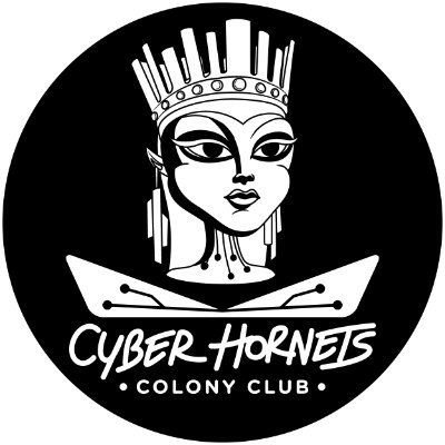 Cyber Hornetsさんのプロフィール画像