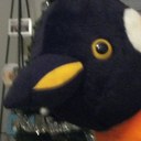 Alex Grill - @Curlybeard7 - Twitter