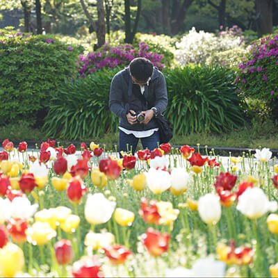 オールドレンズツイッタラー。東京都在住。カメラ歴10年。オールドレンズ沼にハマリ160本所有、現在は国産ノンライツレンズに夢中。「オールドレンズ・ライフ2019-2020」「オールドレンズ・ライフ2020-2021」に写真掲載。
#オールドレンズ
#α7III
#Z5
#Sony
#oldlens