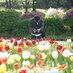 kujisan (@kujisan73) Twitter profile photo kujisan (@kujisan73) Twitter profile photo