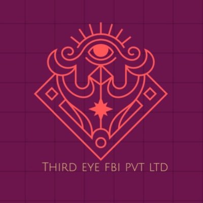 Third Eye FBI began in 2016 in response to the growing need for accurate, in-depth and comprehensive verification data for Employers, Lenders & Organizations