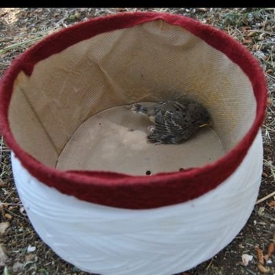 EMIN_CEKIN's profile picture. İLAHİYATÇI