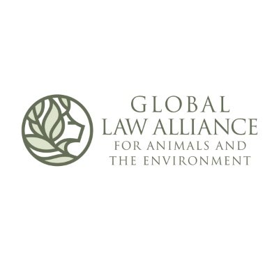 Global Law Alliance for Animals and the Environment is a champion for wild animals and wild spaces.