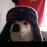 Fred P. (@freddyp16960102) 's Twitter Profile
