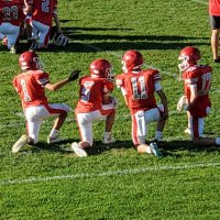 Nik Massey (@massey_nik) 's Twitter Profile