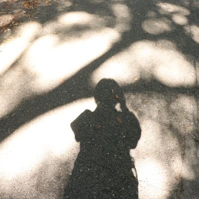 ttyoppx's profile picture. 自然が好きで写真が好きです。
無言フォロー失礼します。
DMは拝見返信出来ない事もあります。