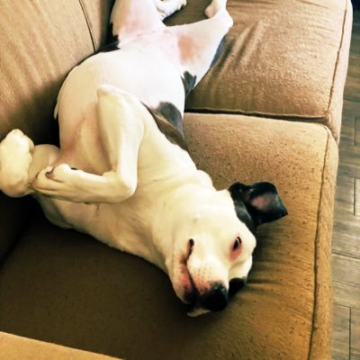 m365learn's profile picture. 