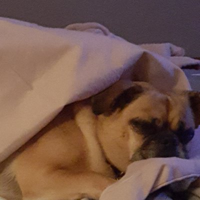 Elicolesbrown's profile picture. 17 year old, National Motivational Speaker, Social Justice Activist, Entrepreneur, Speechwriter, TV Talk Show Host and Podcaster.