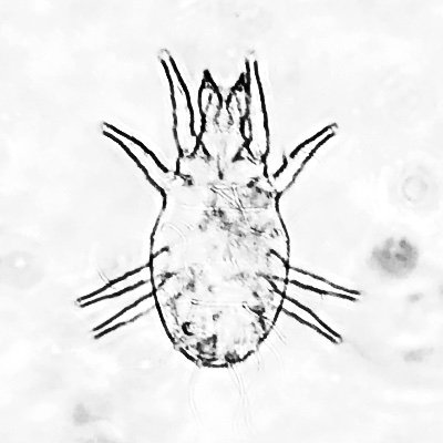 anandsingh0106's profile picture. light-camera-biology-action!