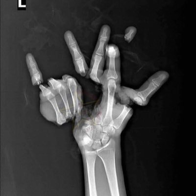 hoocha852's profile picture. Fuck CCP