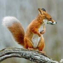 News_Com11's profile picture. I know more than you think I do.