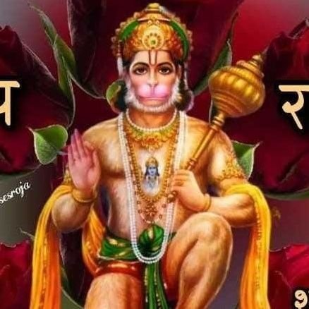 RRatoka's profile picture. special educated