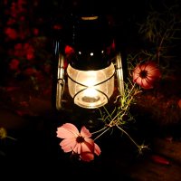 Anne (@anne21374479) Twitter profile photo