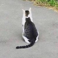 SMAR.INFJ (@smar_infj) 's Twitter Profile Photo SMAR.INFJ (@smar_infj) 's Twitter Profile Photo